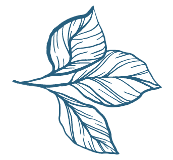 Rose Leaf 2